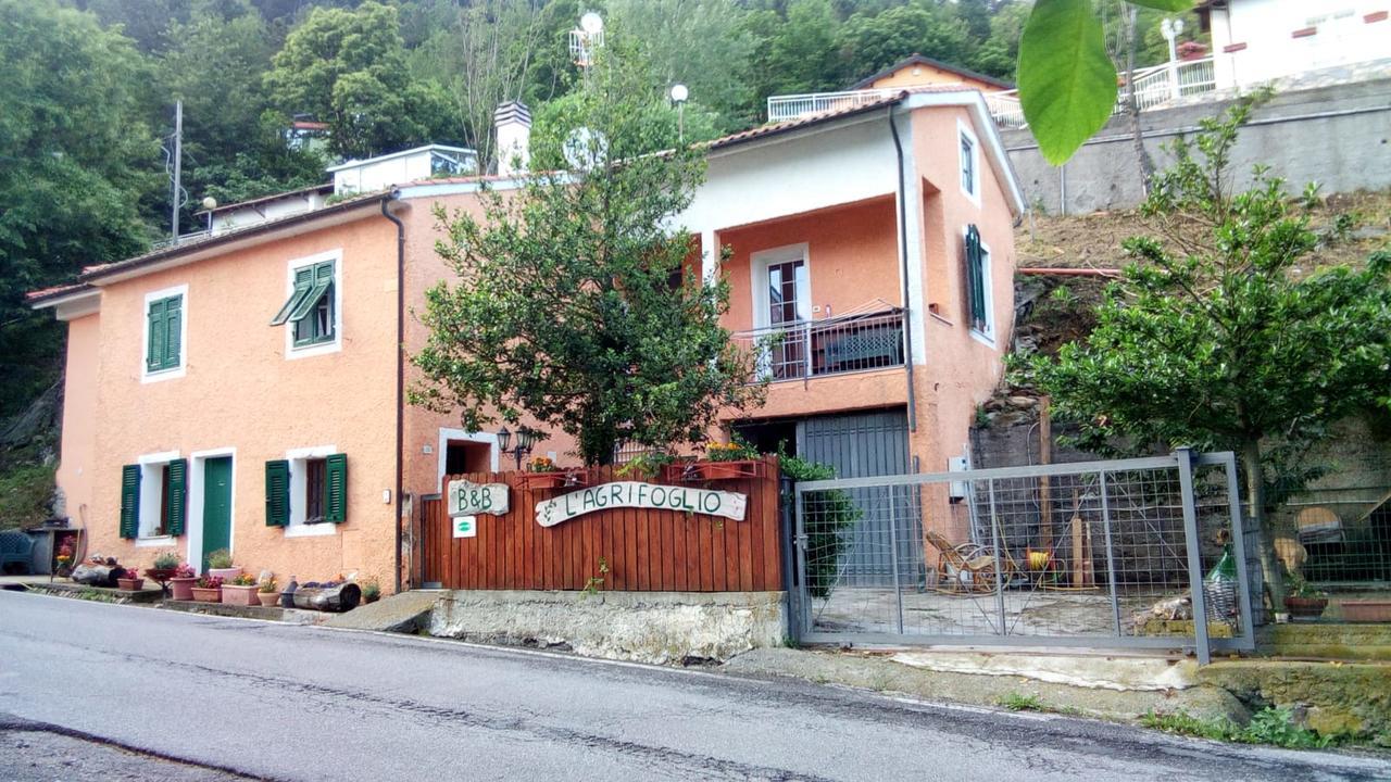 Bed and Breakfast Casa Vacanze L'Agrifoglio Magliolo Zewnętrze zdjęcie